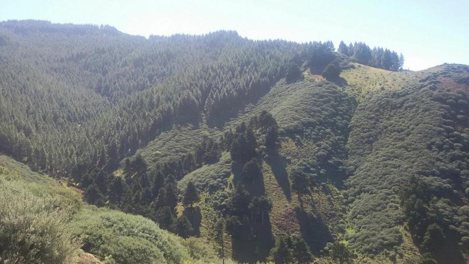 Valle Frühstückspension