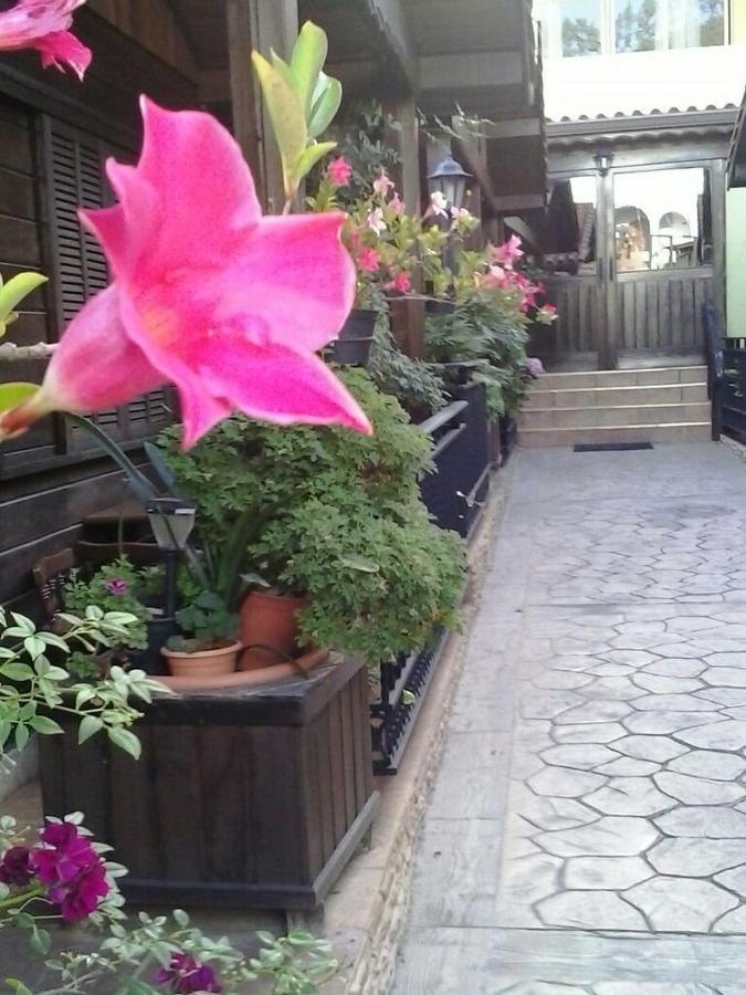 Valle 2*